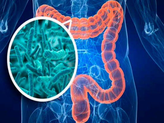microbioma